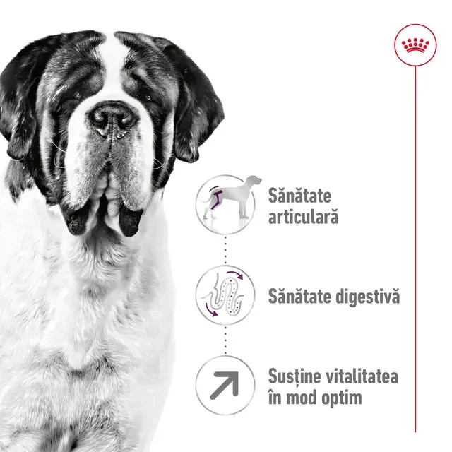 Royal Canin Giant Adult 15 kg