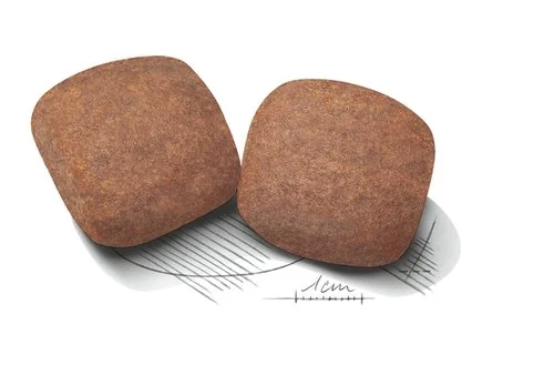 Royal Canin Giant Adult 15 kg