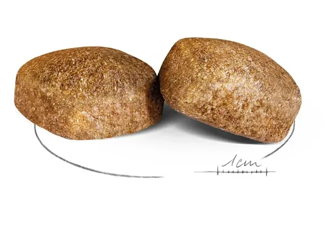 Royal Canin Giant Adult 15 kg