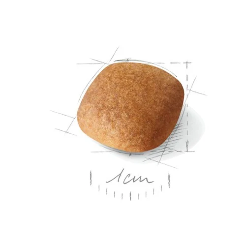 Royal Canin West Highland White Terrier Adult