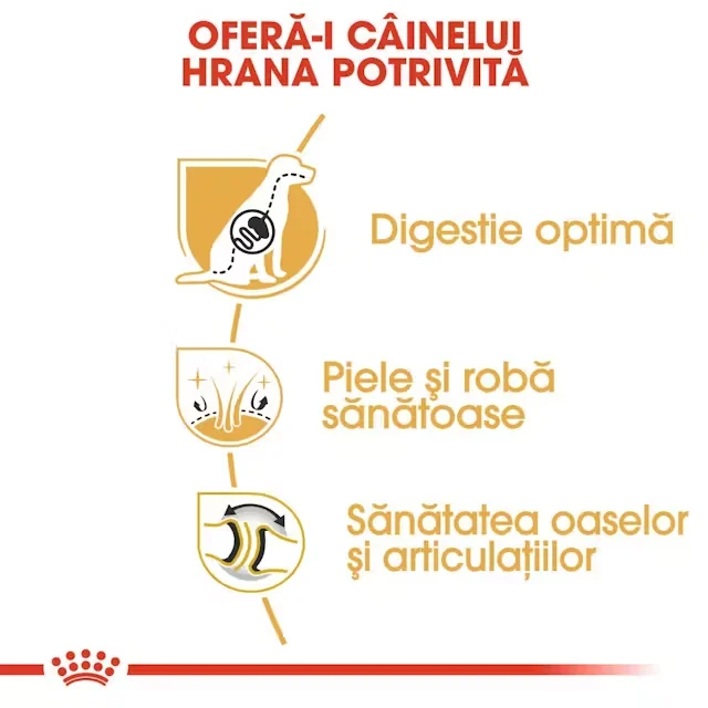 Royal Canin German Shepherd Adult