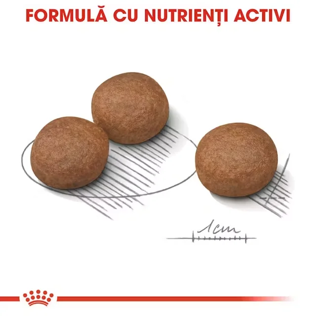 Royal Canin Medium Digestive Care