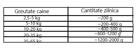 Carnevale Dog Conserva Cangur/Mure/Ulei Canepa 800 g
