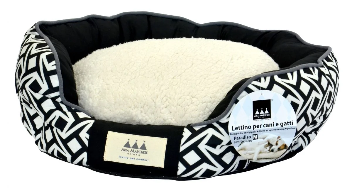 Aria Marchese Pat Paradiso Geometria S