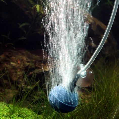 JBL Piatra Aer Prosilent Aeras Micro Ball L