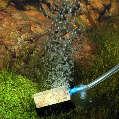 JBL Piatra Aer Prosilent Aeras Marin M 6.5 CM