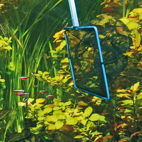 JBL Minciog Premium 12 CM