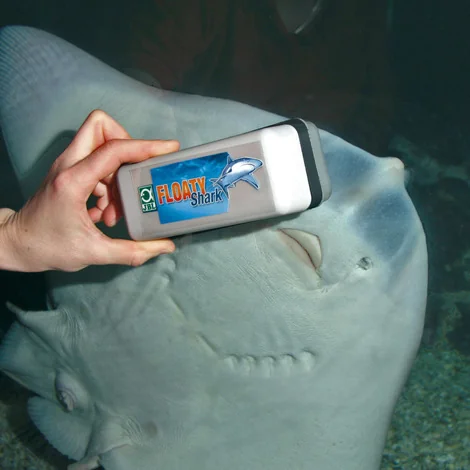 JBL Magnet Floaty Shark 20-30 mm