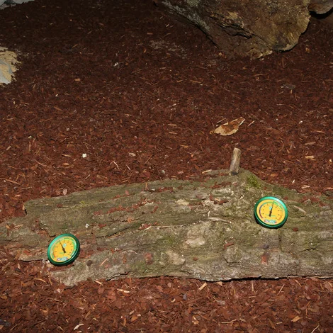 JBL Hygrometer Thermometer TerraControl