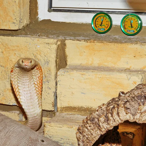 JBL Hygrometer Thermometer TerraControl