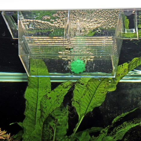 JBL BabyHome Pro Air