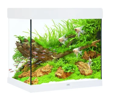 Juwel Acvariu Led Lido 120 Alb