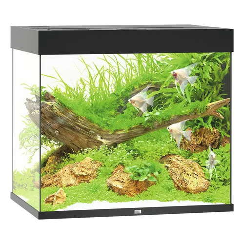 Juwel Acvariu Led Lido 200 Negru