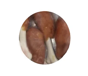 Eat&Fun Recompense Caini Chick'n Hammers 100 g