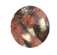 Eat&Fun Recompense Caini Chick'n Stick Bites 100 G