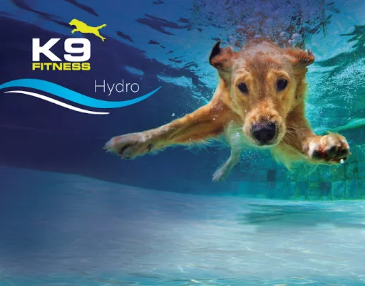 Zeus K9 Jucarie Hydro Inel Impletit