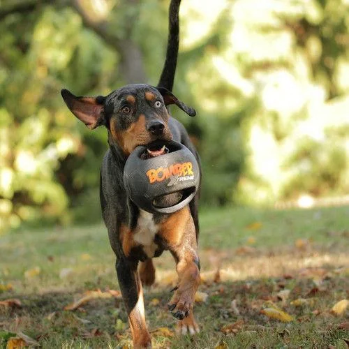 Zeus Bomber Minge Xtreme S