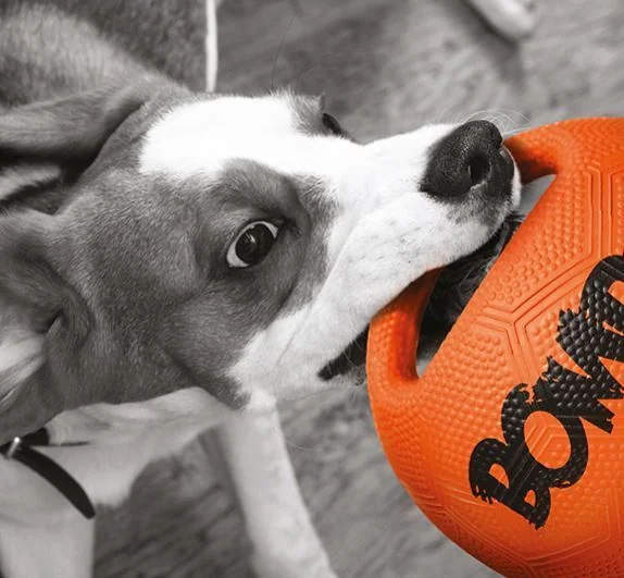 Zeus Extreme Micro Bomber S