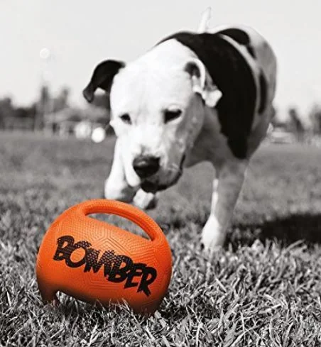 Zeus Extreme Micro Bomber M