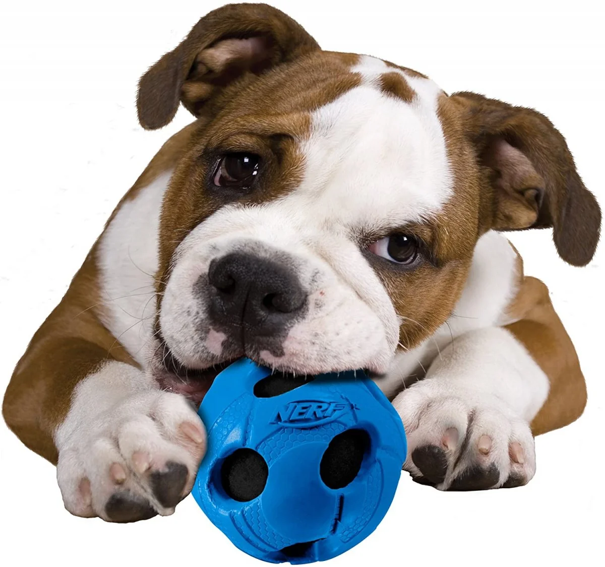 Nerf Minge Tenis Verde/Albastru S