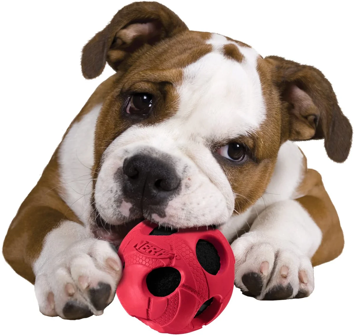 Nerf Minge Tenis Albastru/Rosu M