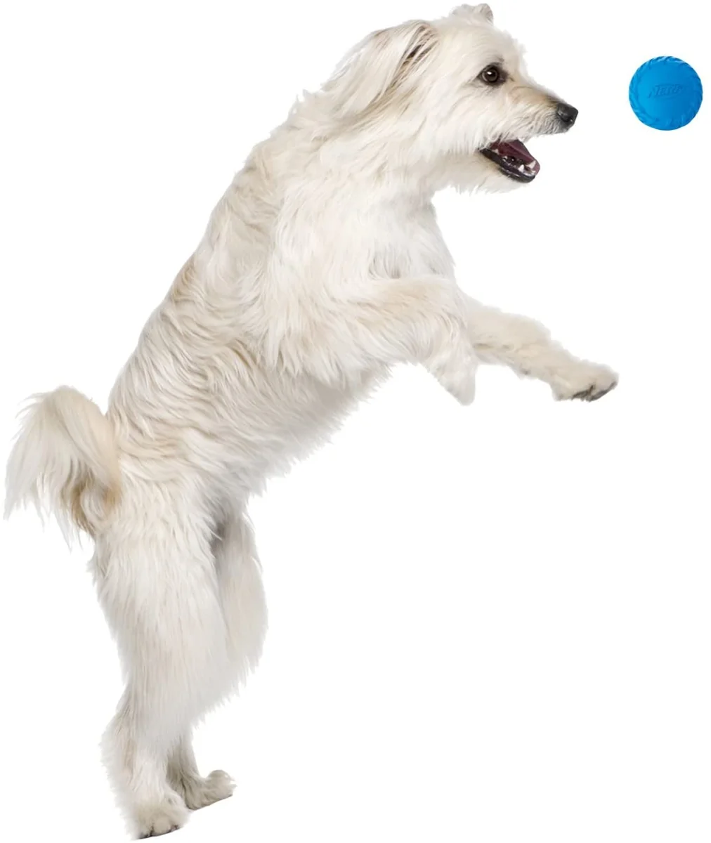 Nerf Minge Squeak Albastru/Verde S