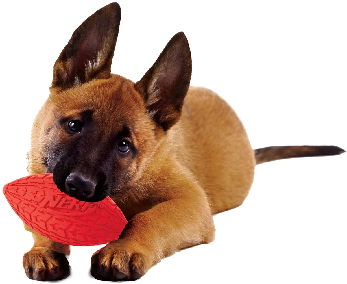 Nerf Minge Football Squeak Rosu/Verde