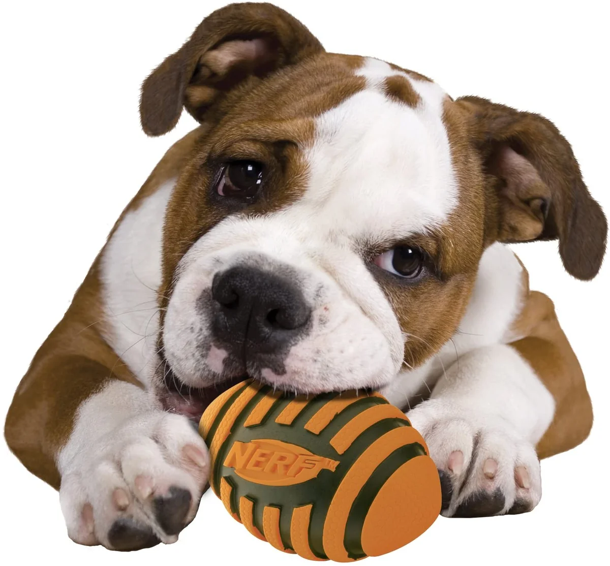 Nerf Spiral Squeak Rosu/Verde S