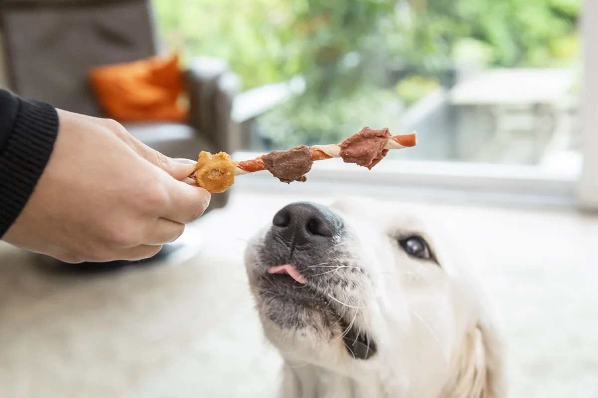 8 in1 Recompense Triple Flavour Frigarui