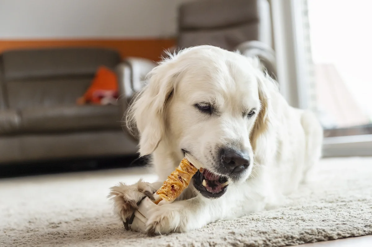 8 in1 Recompense Triple Flavor L