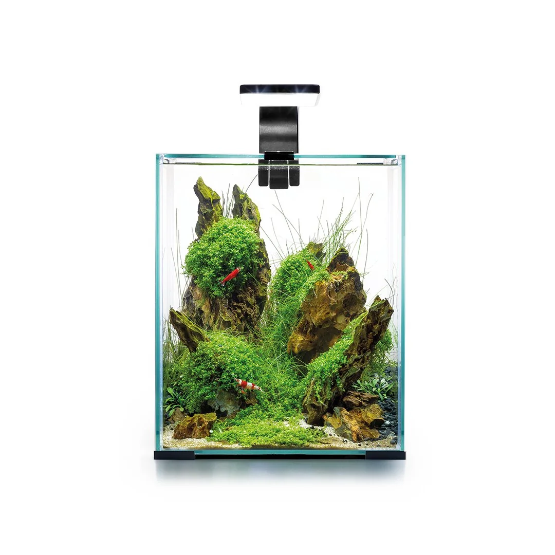 Aquael Acvariu Shrimp Smart Day & Night 30 L Negru