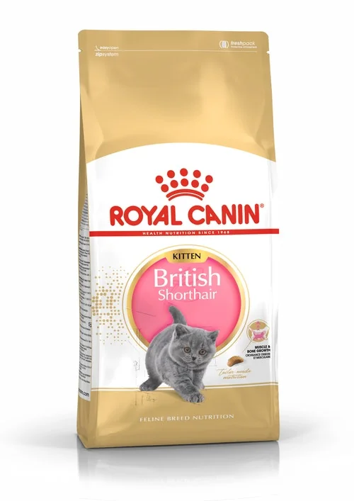 Royal Canin Felin British Shorthair Kitten 10 kg