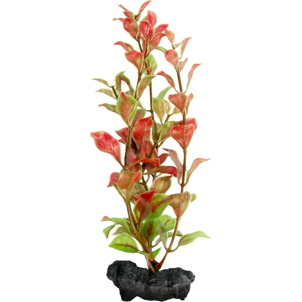 Tetra Planta Decoart Red Ludwigia M 23 cm