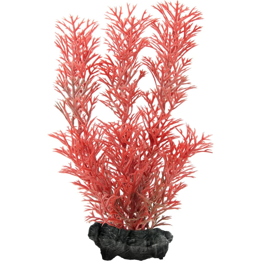 Tetra Planta Decoart Red Foxtail M 23 cm