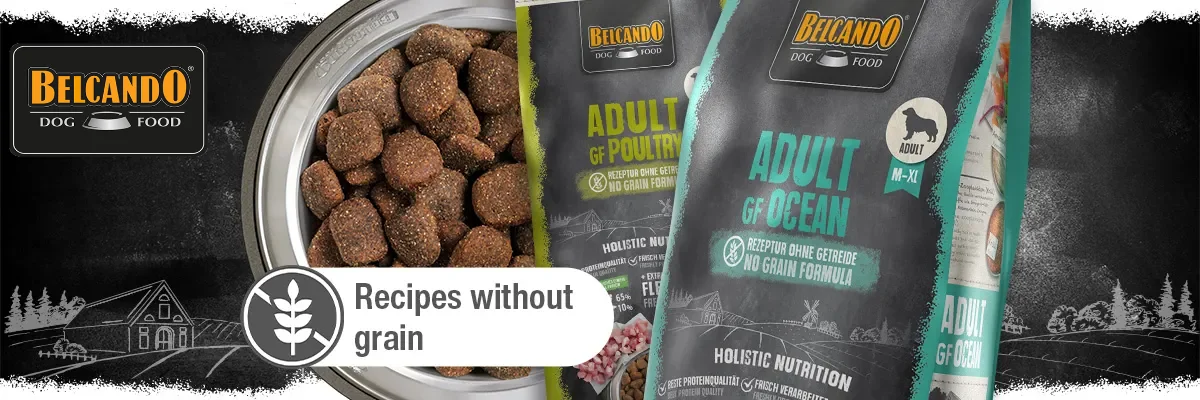 Belcando Finest Grain Free Miel