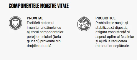 Belcando Finest Grain Free Miel