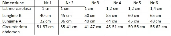 Streetside Ham Floricele Roz