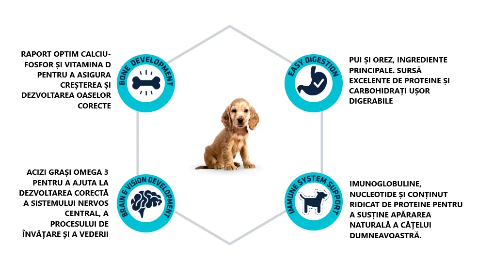 Advance Dog Maxi Puppy Protect 3 kg