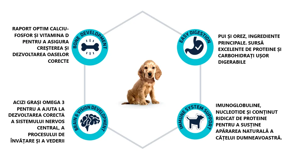 Advance Dog Medium Puppy Protect 3 kg