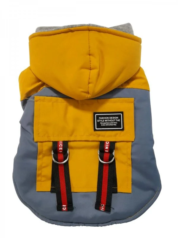 Pet Expert Haina Caine Yellow S BO-W19036