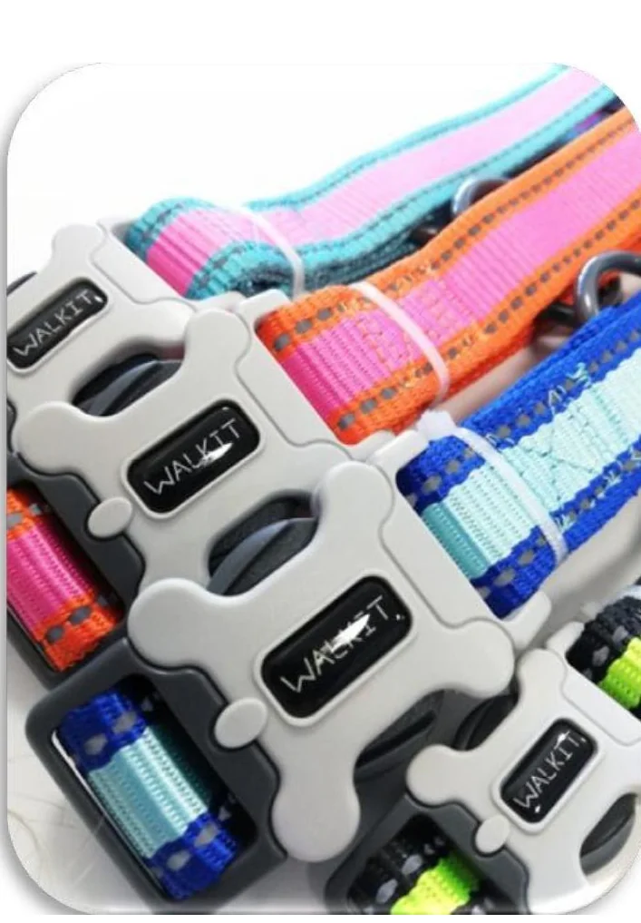 Walkit Zgarda Caine L 2.5 cm X 43-74 cm