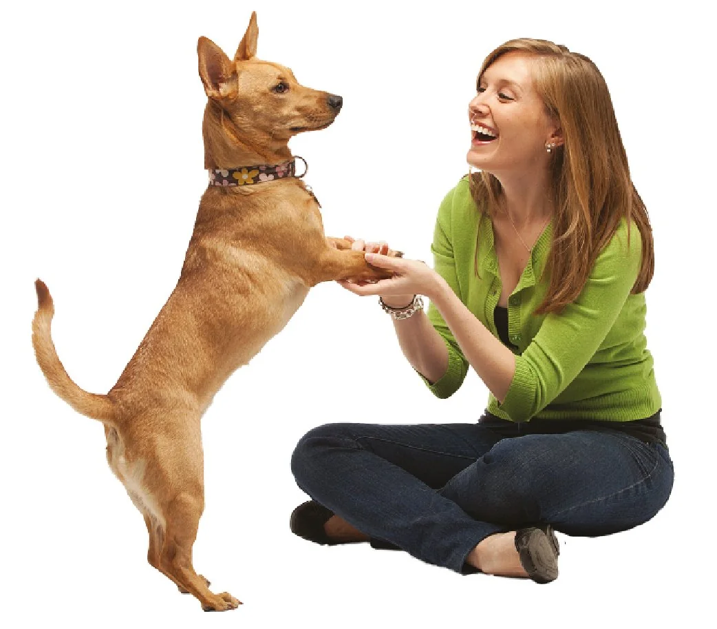 Paiatze Dog Plus Raton 510-652