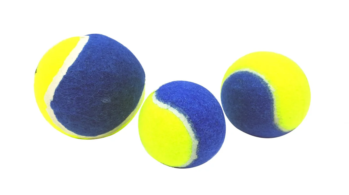 Paiatze Dog Mingi Bicolor