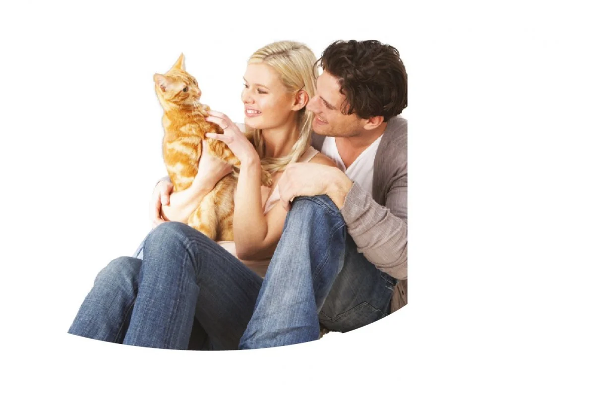 Paiatze Cat Teaser Pufos 40 cm 550-526