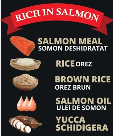 Nutraline Dog Adult Somon/Orez 3 Kg