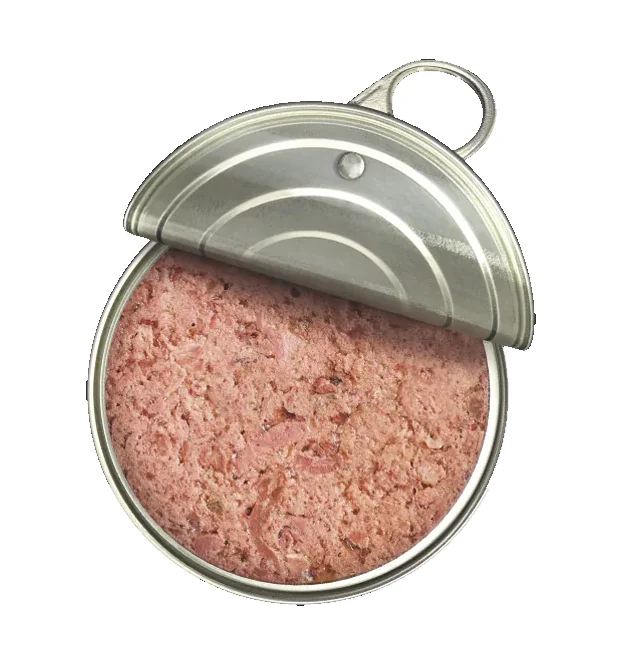 Leonardo Conserva Ficat