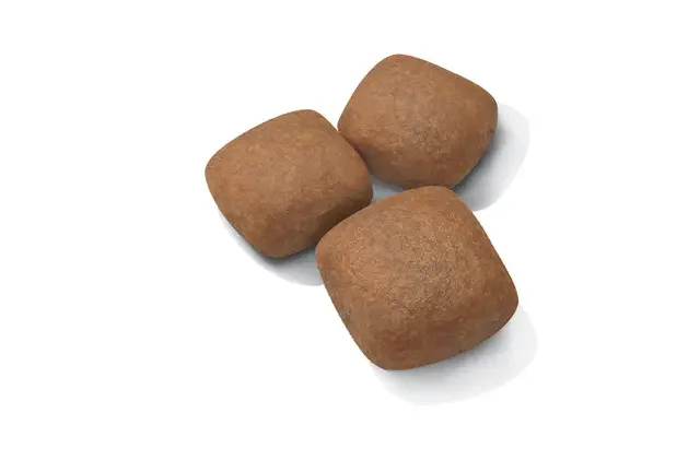 Royal Canin Giant Junior 15 kg