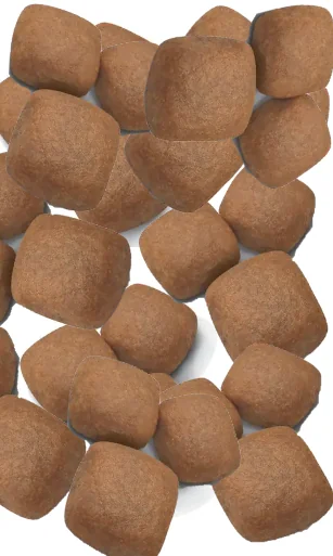 Royal Canin Giant Junior 15 kg