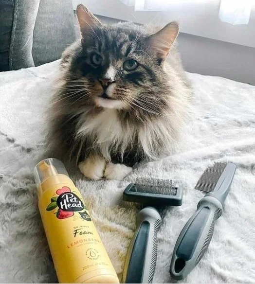 Pet Head Spray Feelin' Good 300 ml