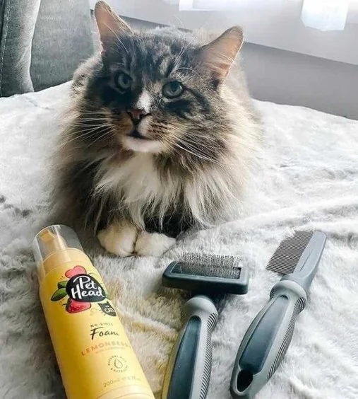 Pet Head Spray Feelin' Good 300 ml